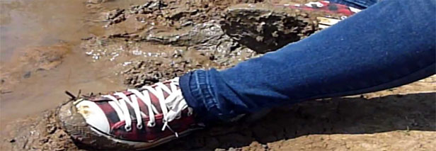 2018.06.26-Trap-That-Tracked-In-Soil-with-Matting