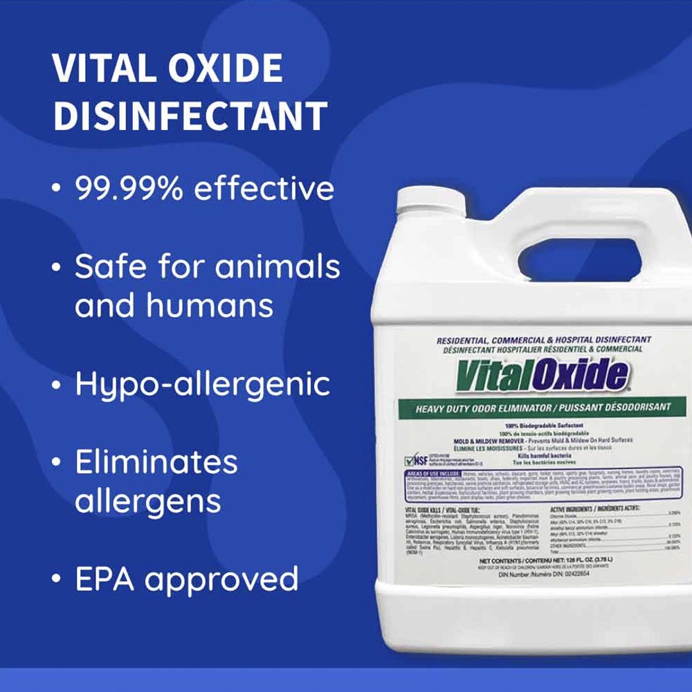 sanitizing-safety--pic02